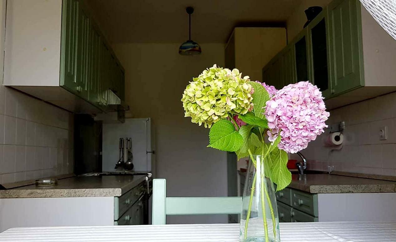 Apartament Adelia Mali Lošinj Zewnętrze zdjęcie